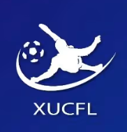 厦门大学生足球联赛男子甲组