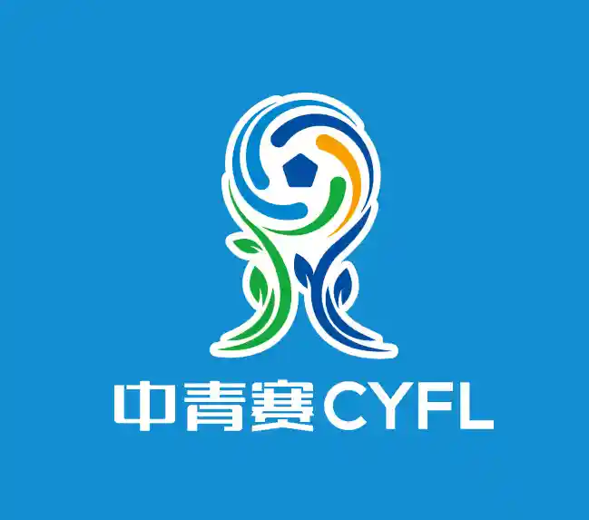 中青赛男子高中U17组大区赛-南三区