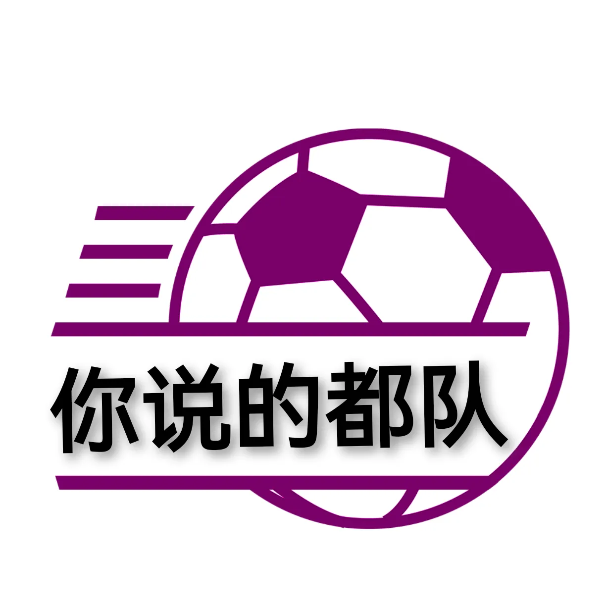 你说的都队