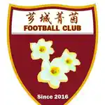 芗城菁英B队