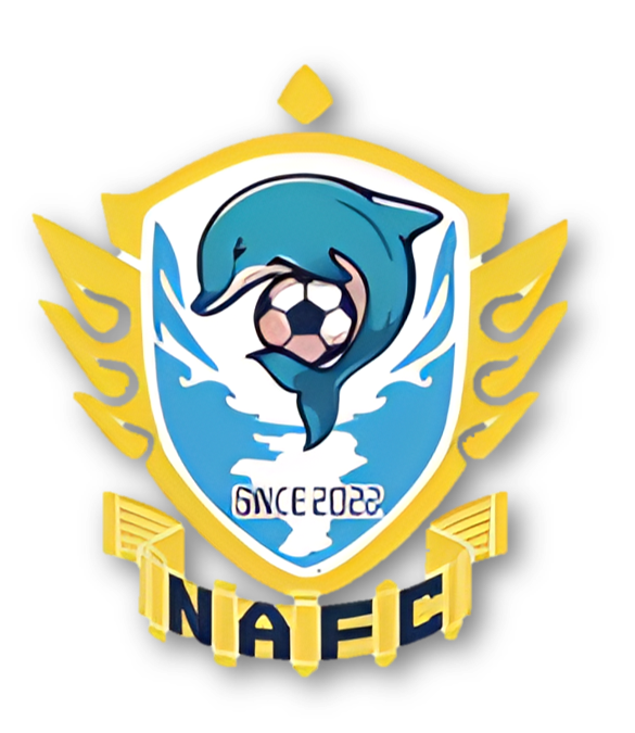 福建南安成功女足